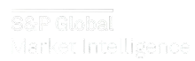 SP_Global-removebg-preview